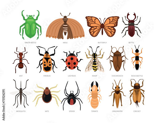 Types of different insect set collection, wildlife animal cartoon, Different bugs set. Insects, summer species with beetle, butterfly, ant, bug, ladybug, wasp, cockroach, mite, mosquito, spider.