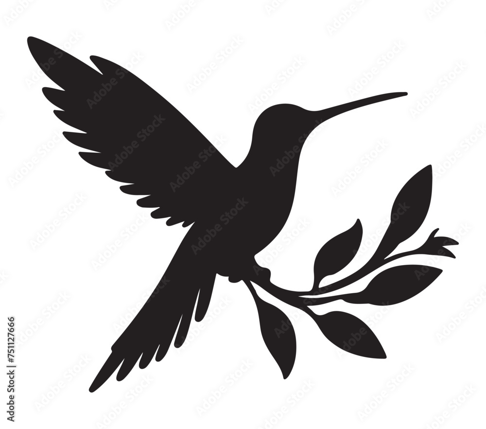Obraz premium Allens Hummingbird silhouette icon. Vector image.