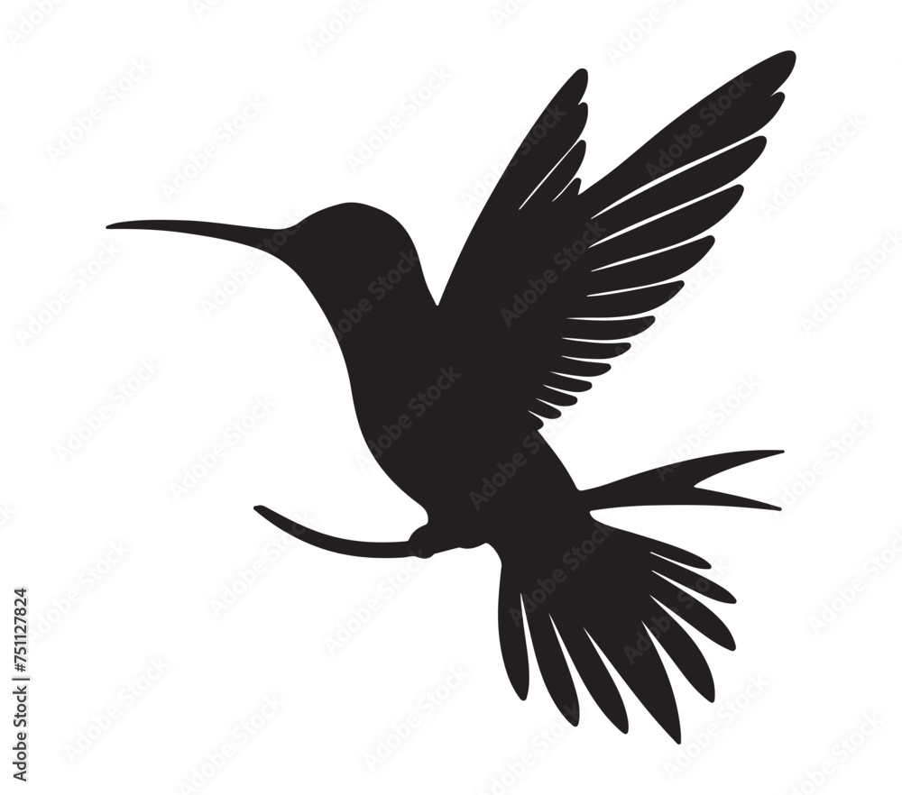 Obraz premium Allens Hummingbird vector illustration design art.