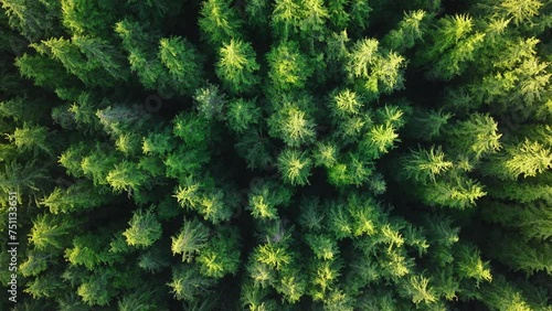 Aerial forest tree nature view. Go green ecology aerial for bright hope future. Global zero waste. Reduce greenhouse gas pollution. Earth day event with low CO2 emission idea. Save the planet concept