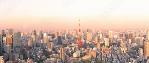 panoramic modern city skyline bird eye aerial view under sunrise and morning blue bright sky in Tokyo, Japan © pinglabel