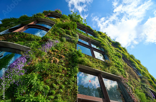 Sustainable Vertical garden, living green wall  for urban cooling photo