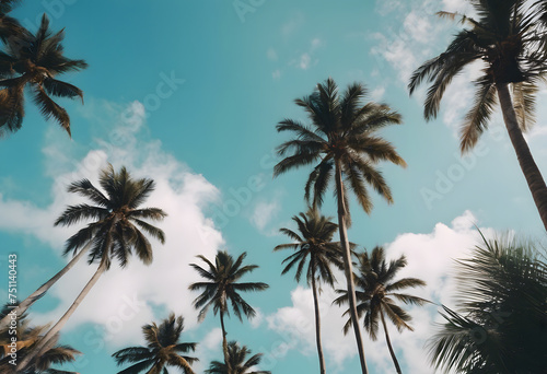 Tropical palm trees against a clear blue sky with fluffy clouds, conveying a serene vacation vibe.
