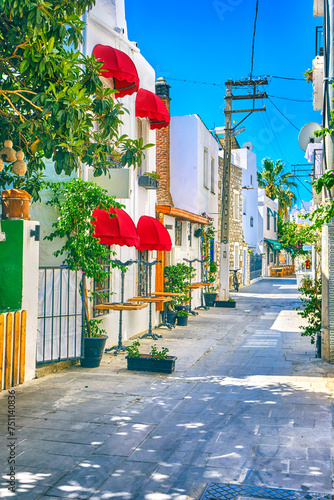 Colorful streets with white houses and curly flowers in Bodrum