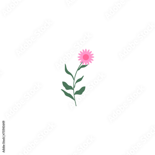 vector element pink flower floral and fauna day pink