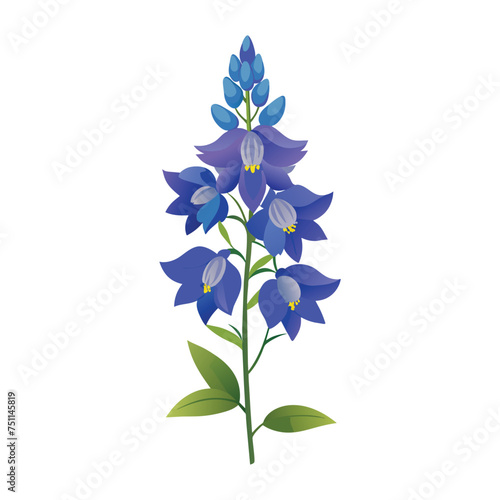 Delphinium Flower Illustration on White Background