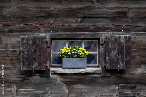 Flower pot on the wooden windowstill photo