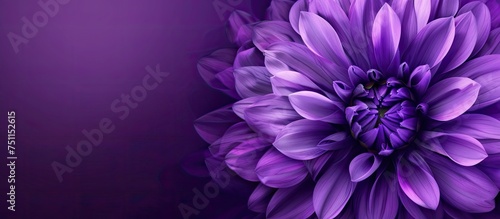 A large purple flower stands out against a lush purple background, creating a striking contrast. The flowers intricate petals and vibrant color are highlighted in this captivating composition.