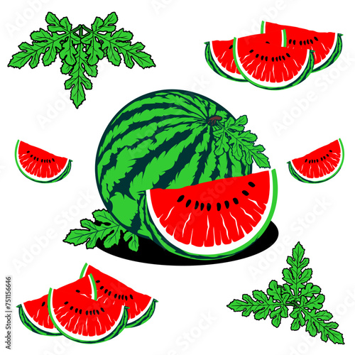 fresh watermelon fruit, watermelon leaves, cut watermelon fruit