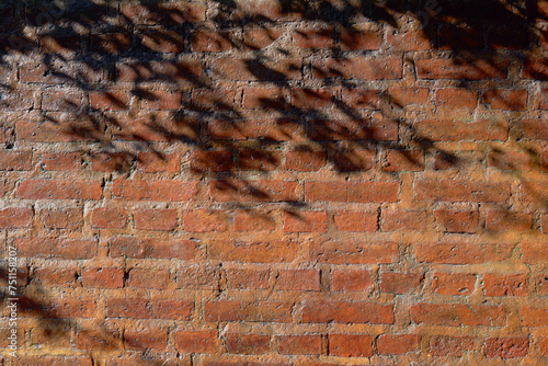 Brick Wall: Textured Architecture with Character