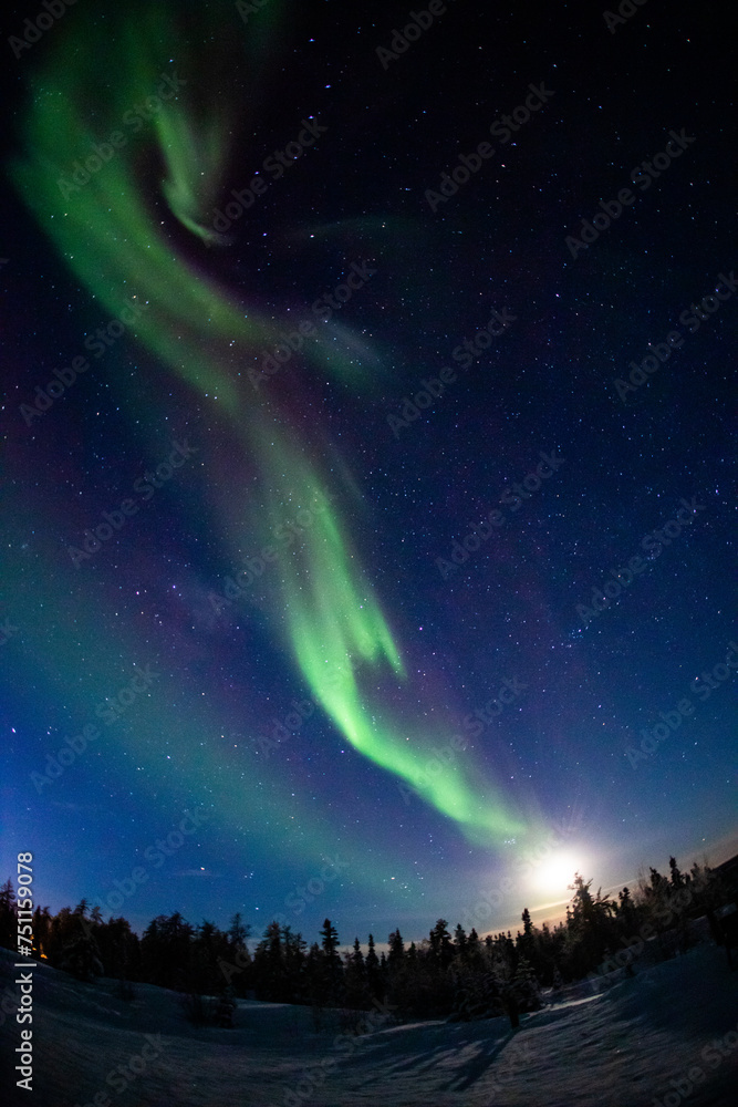 Fototapeta premium カナダ イエローナイフのオーロラ