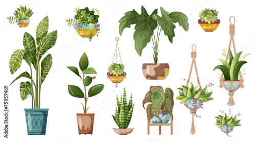 Houseplant and macrame plant growing in pots. Set of handmade home decorations macrame plants isolated on white background. Cartoon flat illustration.