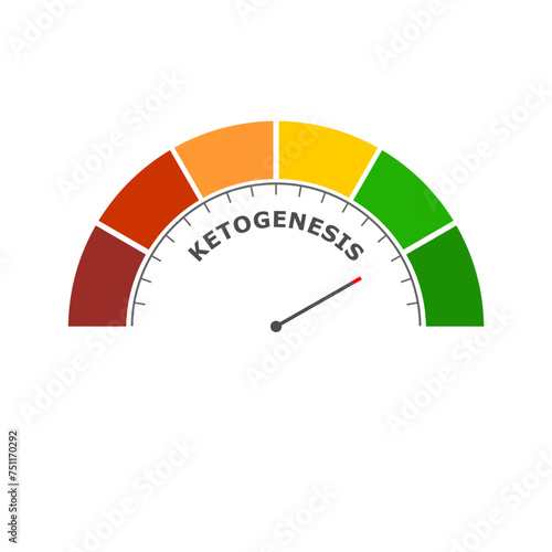 Ketogenesis level on measure scale. Instrument scale with arrow. Colorful infographic gauge element. Ketogenesis is the biochemical process through which organisms produce ketone bodies