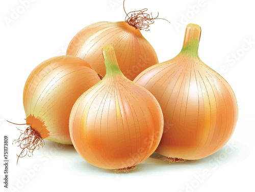 onions on white background