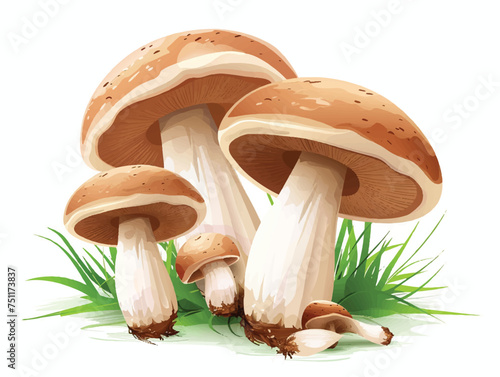 mushrooms isolated on white background