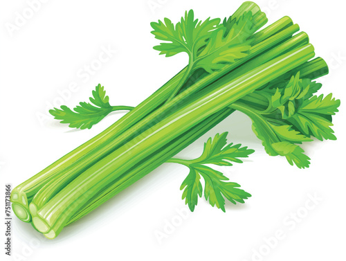 celery isolated on white background