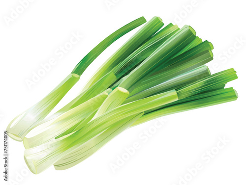 leeks isolated on white background