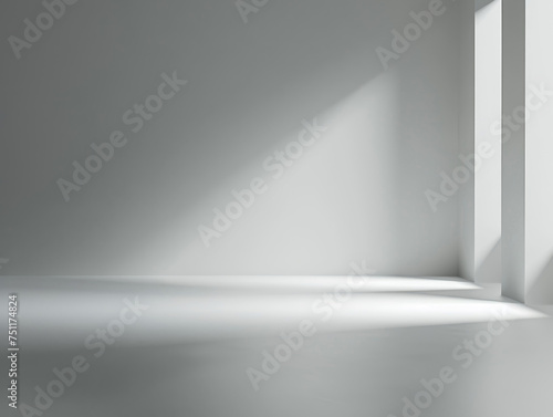 Wallpaper Mural empty space studio Torontodigital.ca