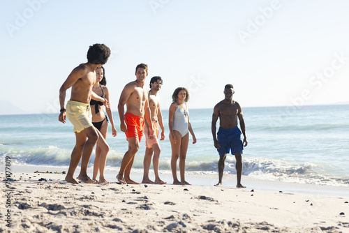 Diverse group of friends in swimwear stands on a sunny beach