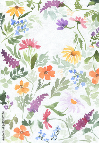 Watercolor floral background of different wildflowers