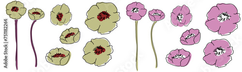 ポピーの花のベクターイラスト