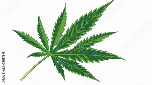 A cannabis leaf silhouette 