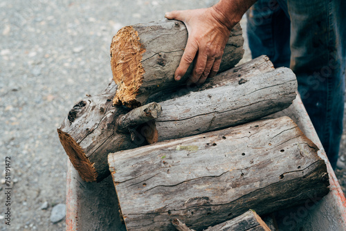 Wallpaper Mural Crop workman taking firewood from wheelbarrow Torontodigital.ca
