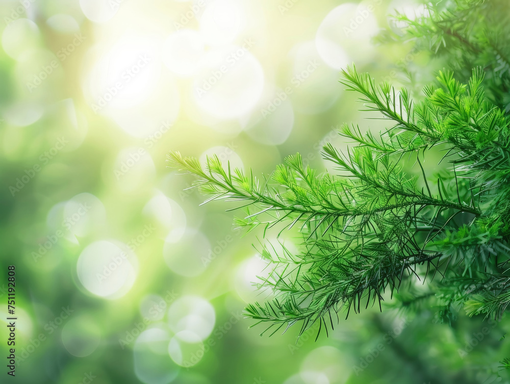 green nature background green nature background
