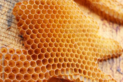 Natural wild bees honey combs on a wooden board photo