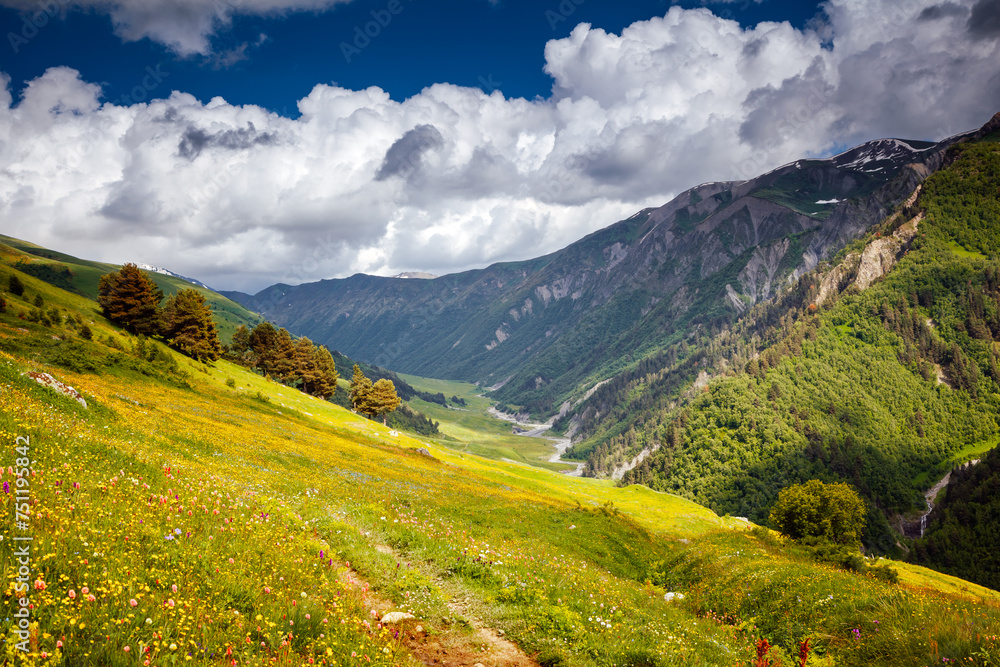 Attractive view of the Main Caucasus Range and green alpine meadows. Upper Svaneti region, Georgia.