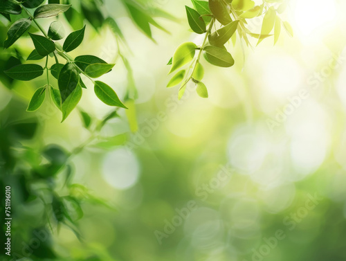 green nature background