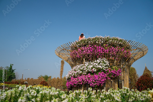 High terrace or state  of petunias (Petunia hybrida) flowers blooming in garden for see view that Bouquets of white flower with blue sky background. photo