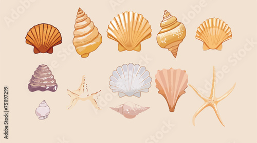 Sea animal shell cartoon theme elements.