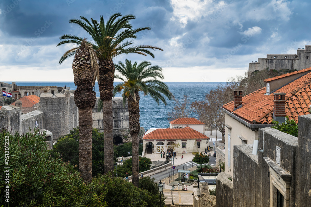 Palmen in Dubrovnik