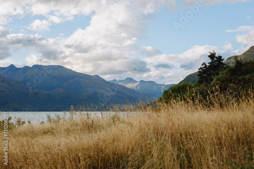 Natural agriculture background of brown grass and layered mountains