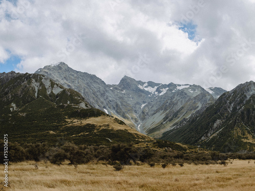 Layered peaks with glaciers and evergreen trees above dry grassland