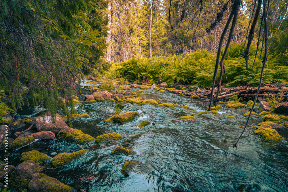 Fulufjället National Park, national park in Sweden, located in the commune of Älvdalen, in the Dalarna region. Fulufjället National Park, national park in Sweden, located in the commune of Älvdalen, in the Dalarna region.