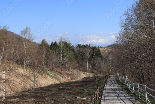 Quadro su tela 西山火口