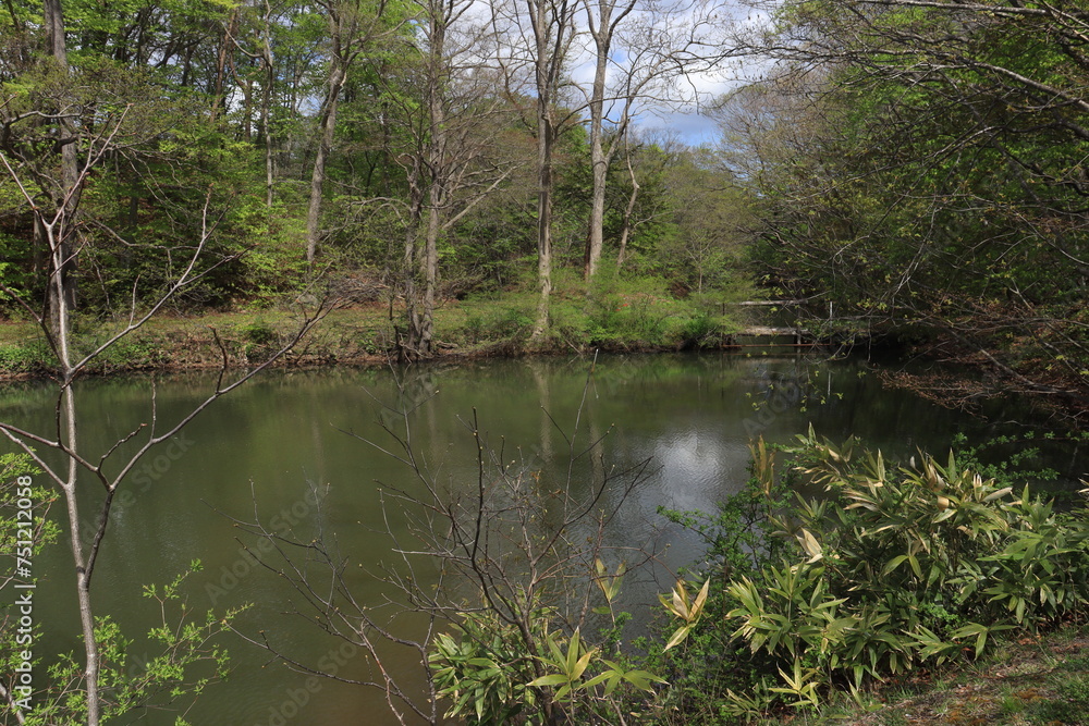 大沼公園 大沼公園