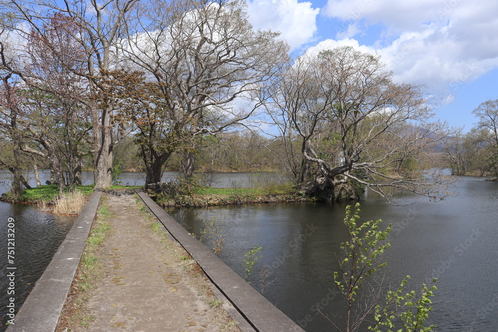 大沼公園