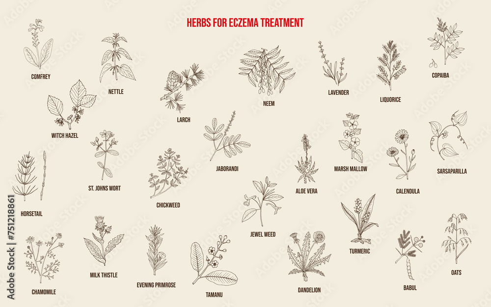 Best medicinal herbs for eczema - obrazy, fototapety, plakaty 