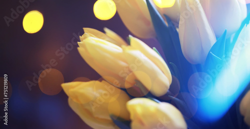 Abstract flower background with bokeh  tulip flowers close-up in a vase. Mothers Day.