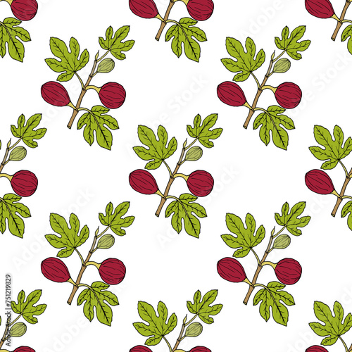 Seamless pattern with common fig