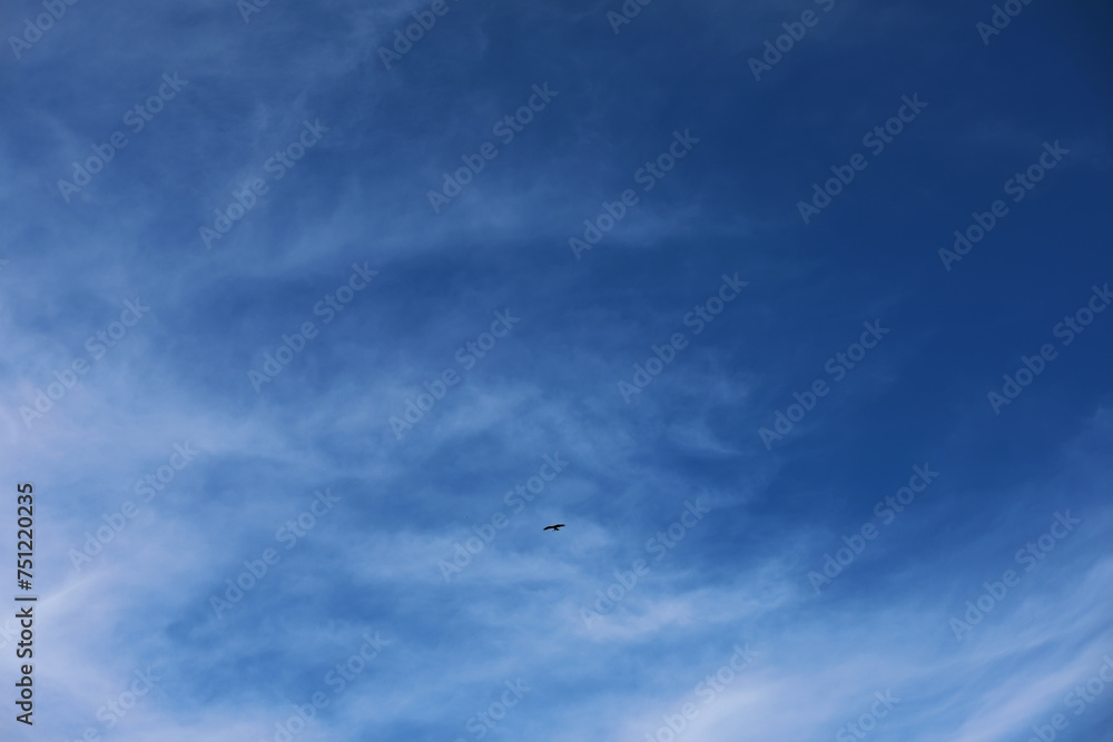 Summer blue sky cloud gradient light white background. Beauty clear cloudy in sunshine calm bright winter air bacground. Gloomy vivid cyan landscape in environment day horizon skyline view spring wind Summer blue sky cloud gradient light white background. Beauty clear cloudy in sunshine calm bright winter air bacground. Gloomy vivid cyan landscape in environment day horizon skyline view spring wind