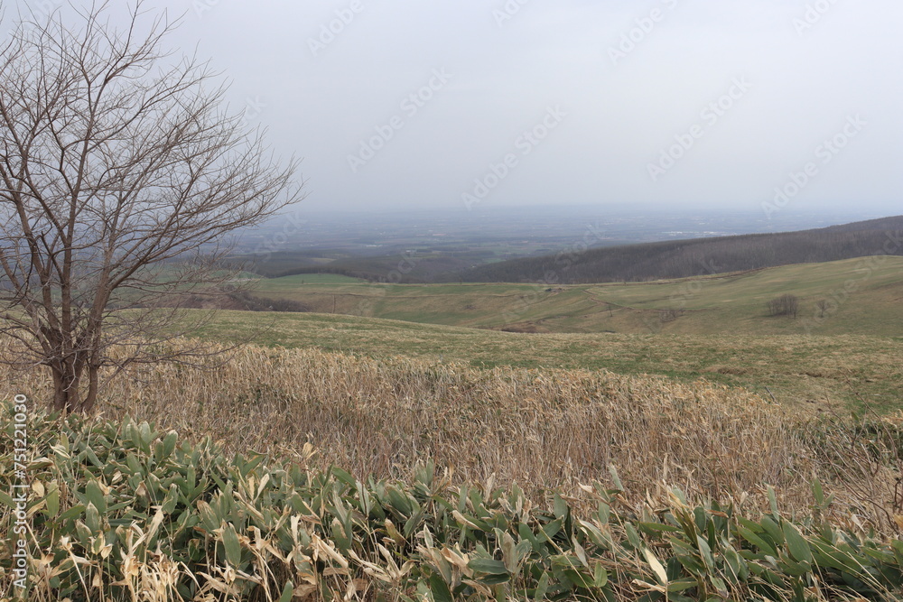 Obraz premium ナイタイテラス