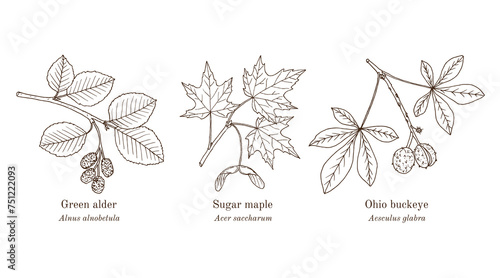 Collection of edible and medicinal plants