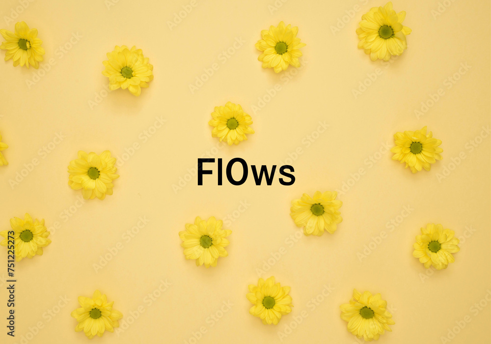 FlOws - 1 FlOws - 1