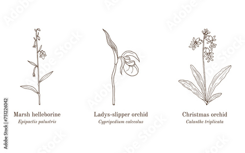 Collection of ornamental and medicinal plants.