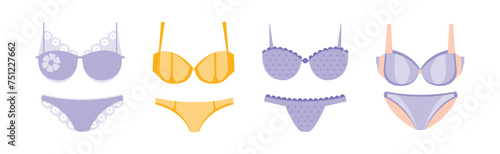 Woman Lingerie and Elegant Underwear Clothes Vector Set