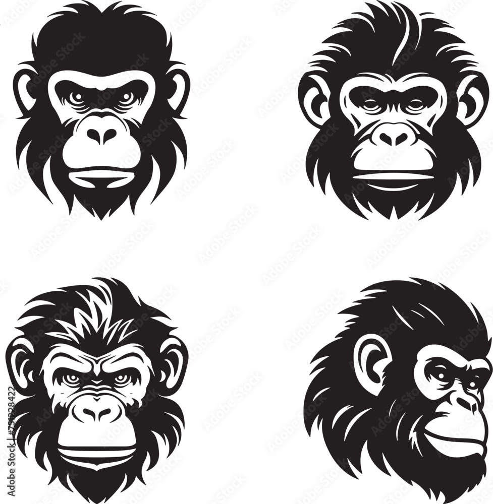 Fototapeta premium A set of head moonkey vector 
